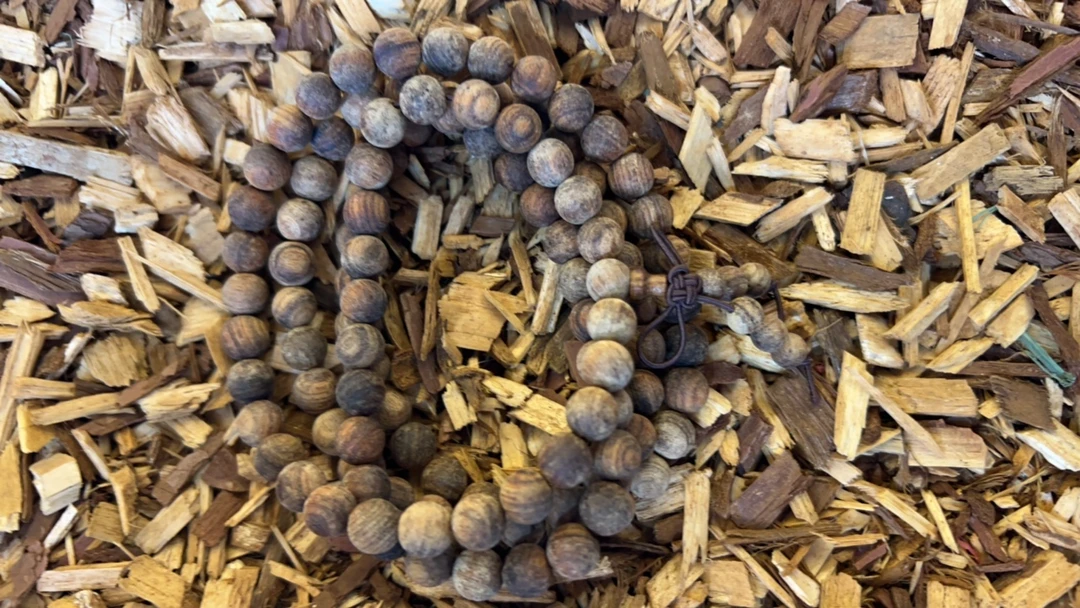 沉香x17 福莱精选高端文玩