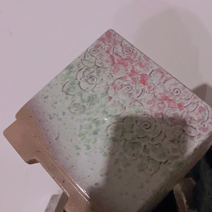 正品20/20一个处理