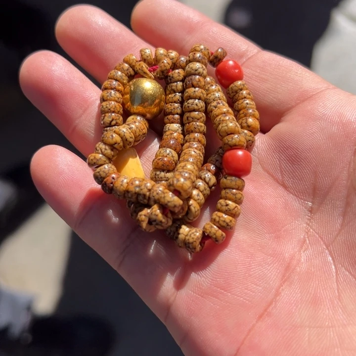 老老的老星月菩提念珠