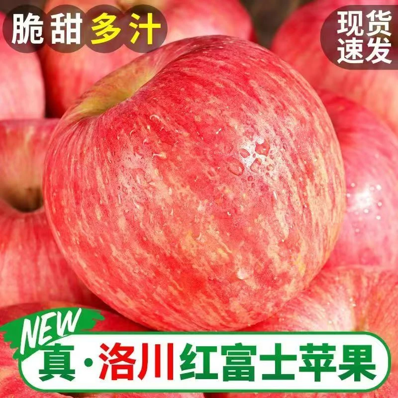 【果臻甜】今年新果 正宗陕西洛川红富士苹果 新鲜应季水果脆甜 lao