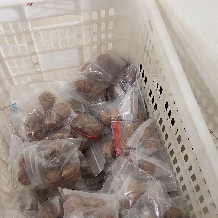 吊坠文玩核桃蟆宝南瑕疵