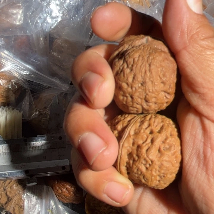 吊坠文玩核桃滇69