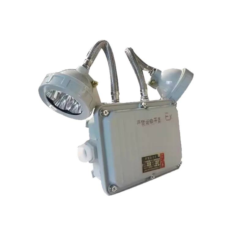 然奥通（HGRAT）应急处理 防爆应急灯 KU68 标志牌安全出口指示灯