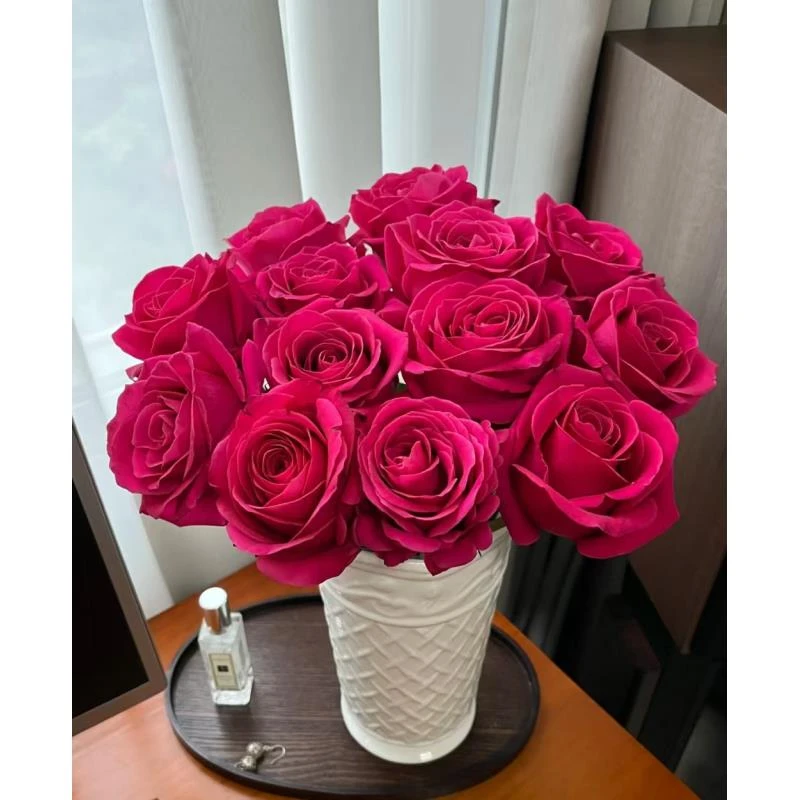 【弗洛伊德单头 玫瑰】