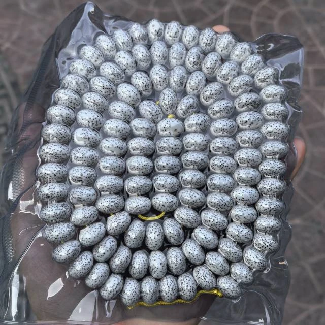 【地主专属】10 G42854-星月菩提（顺白算盘珠）-多样性发其一-14mm