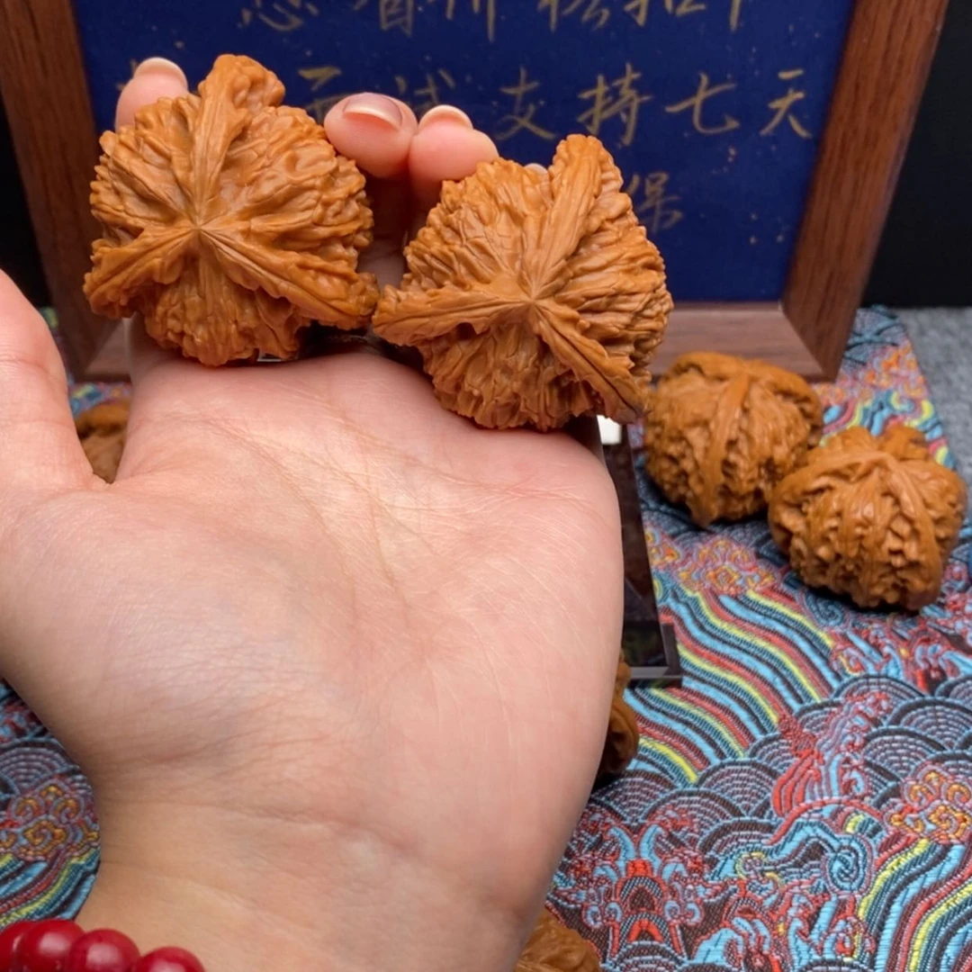 【闪购商品】句*。白狮