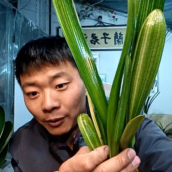 @shin35元一对！！！！