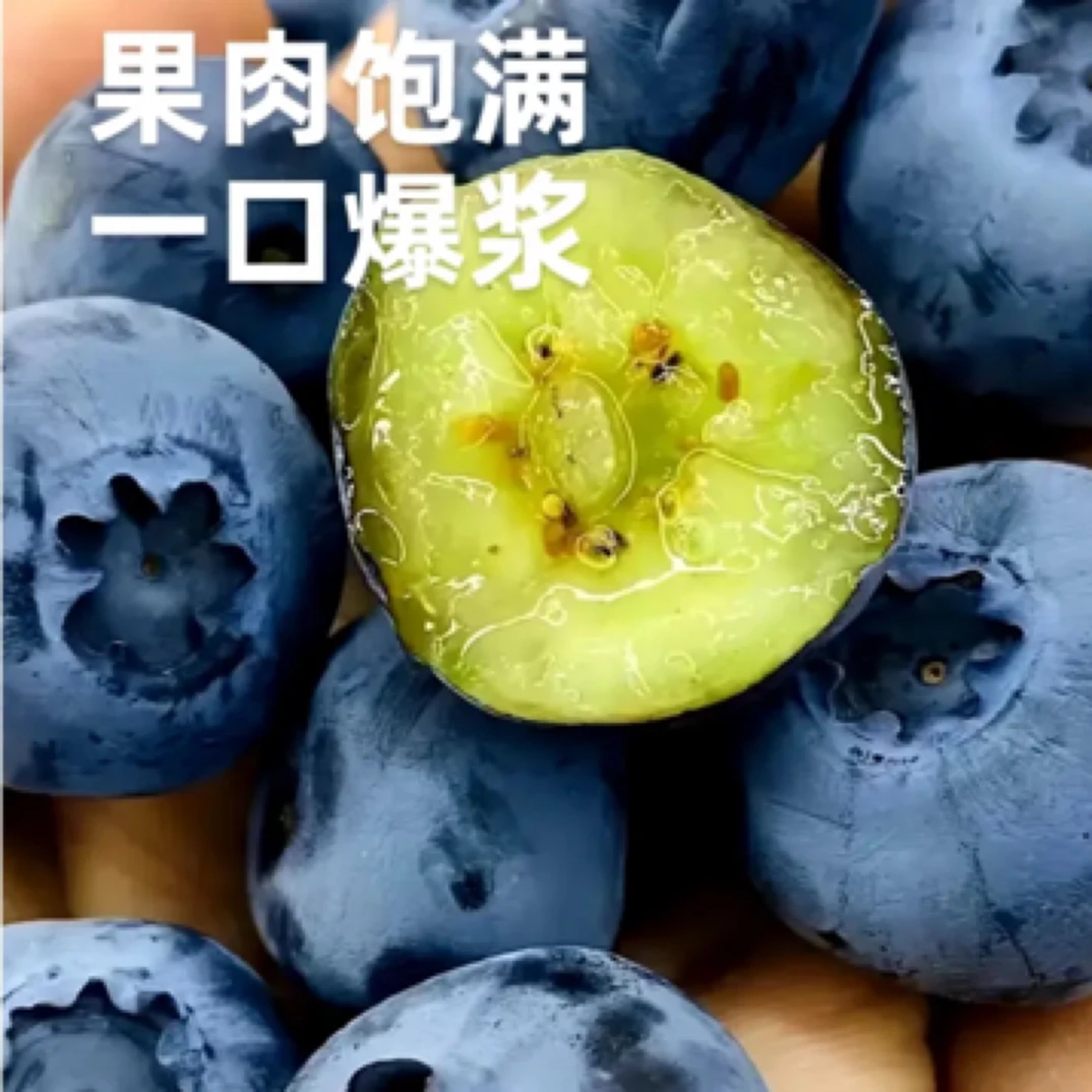 （配送到家）纯甜口枝冠蓝莓一盒