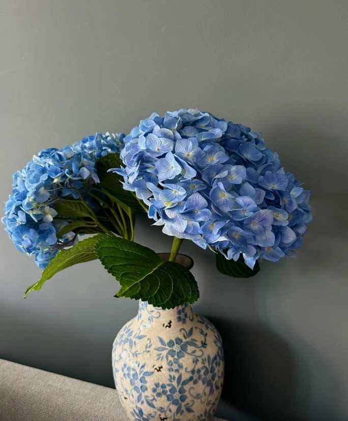 【全场任意两单包邮】绣球  1枝 颜色随机发