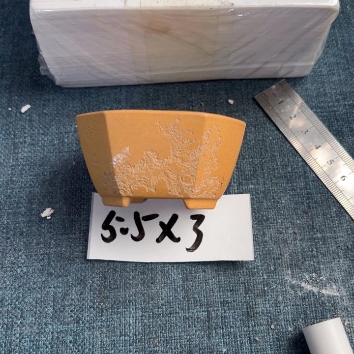 呜呜呜太好看太好看