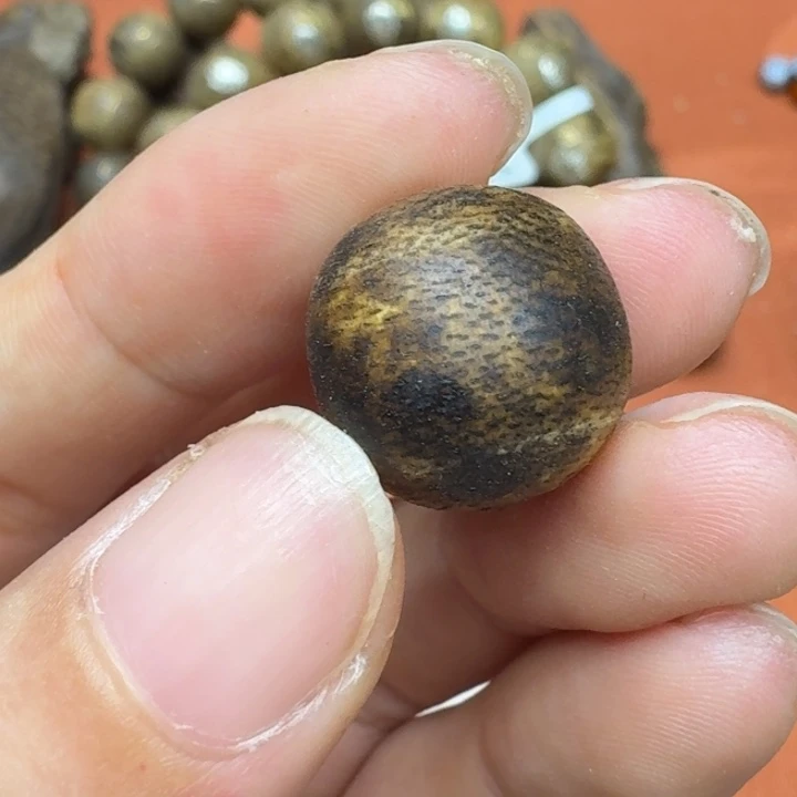 大叶紫檀（黑酸枝木类）