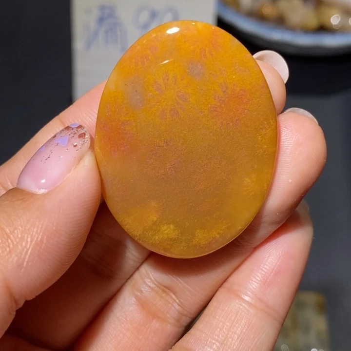 【闪购商品】未镶嵌珊瑚玉硅化玉
