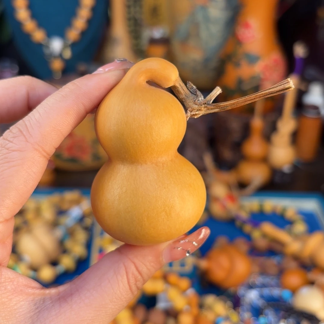 我们的生活也是如此的丰富