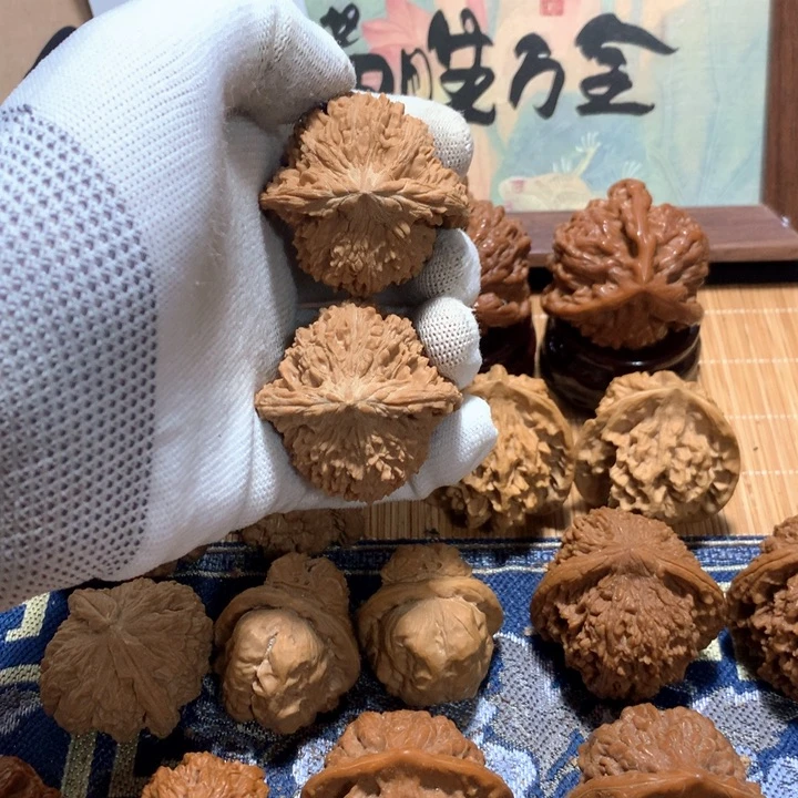 海***包哈哈哈哈哈哈哈哈哈