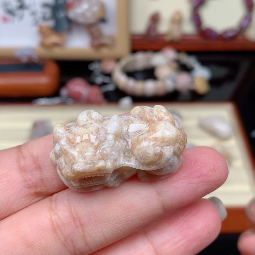 硅化玉珊瑚玉未镶嵌