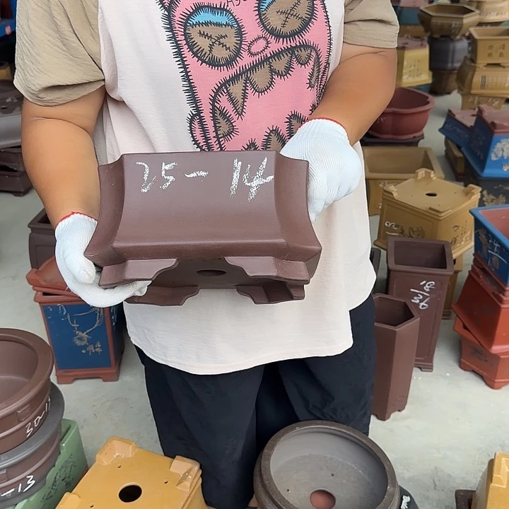 不敢给自己一份安全