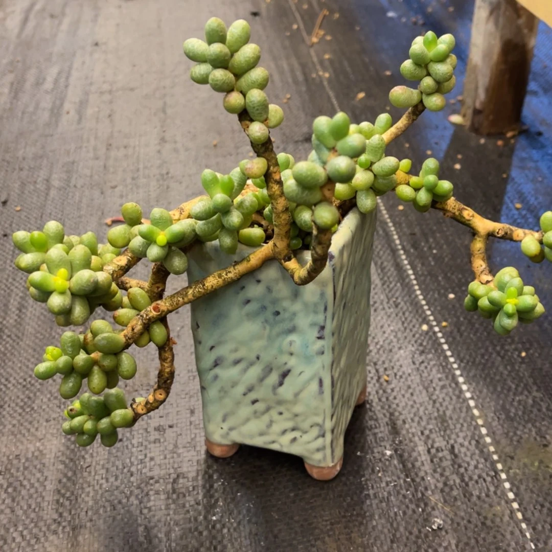 闲**风373737383838383853