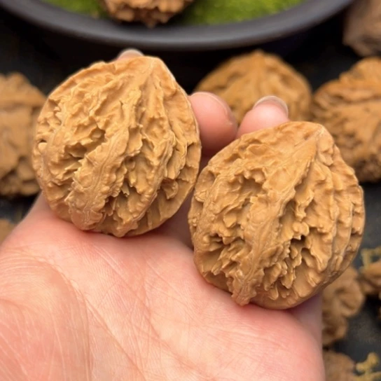 文玩核桃把件秦岭灯笼核桃2