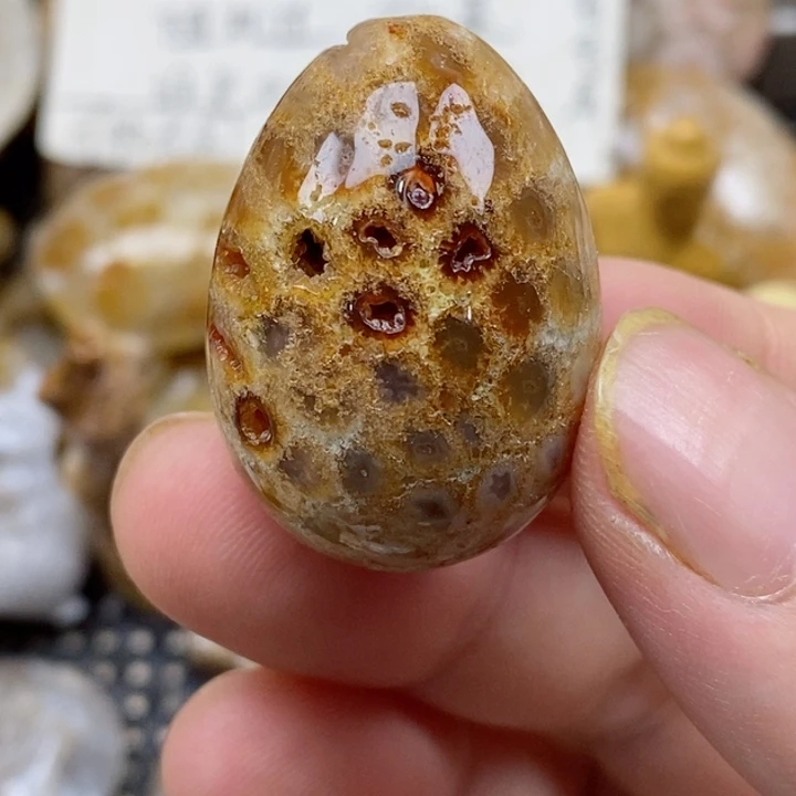 颈饰未镶嵌硅化珊瑚（珊瑚玉）有瑕