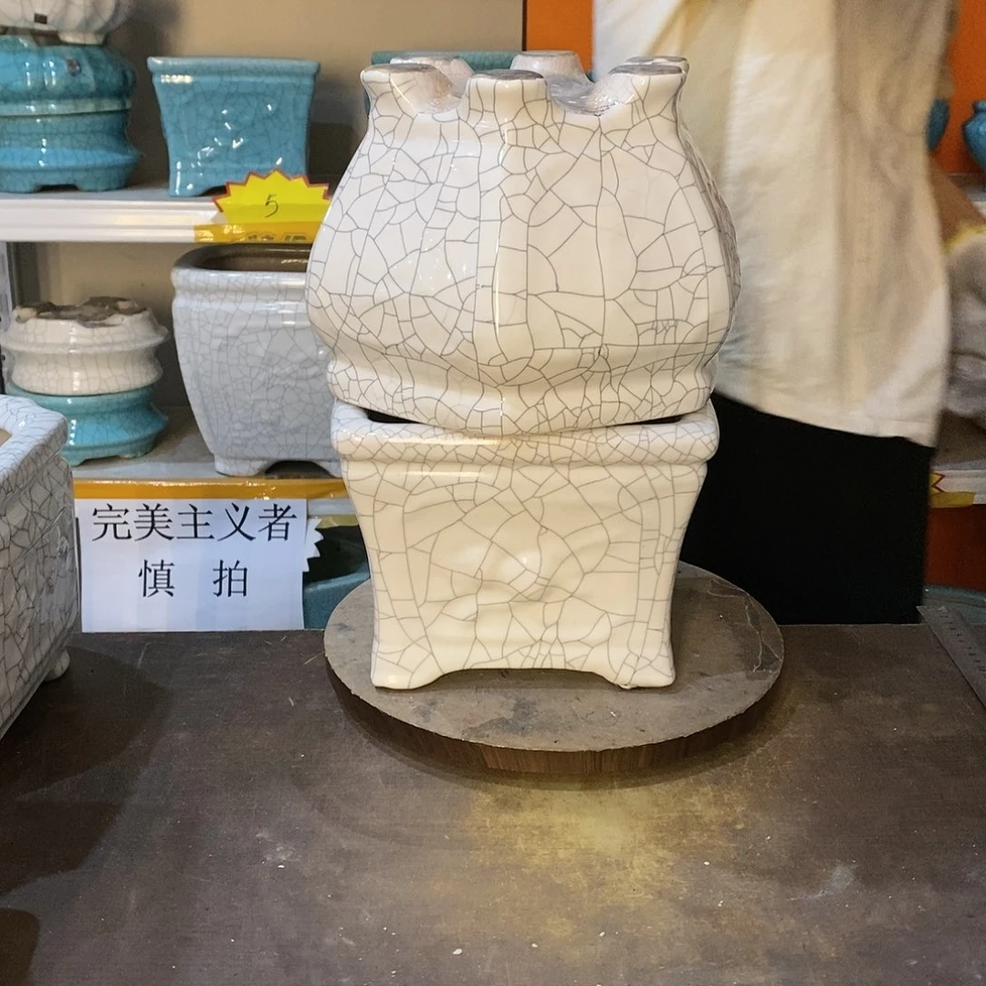 阿****n花盆花盆里的花