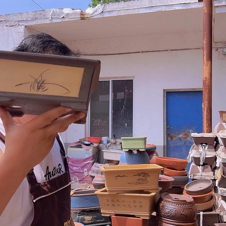 紫砂花盆紫砂花盆