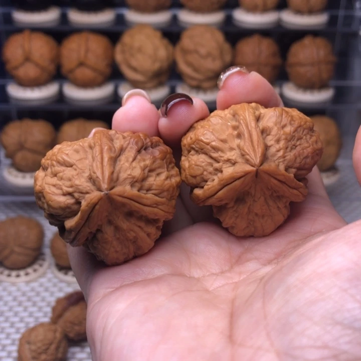 把件文玩核桃58号粗筋小盘石37尺