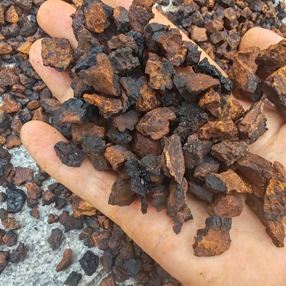 【高原助农】高原高山桦树茸参包邮天然桦树茸切块