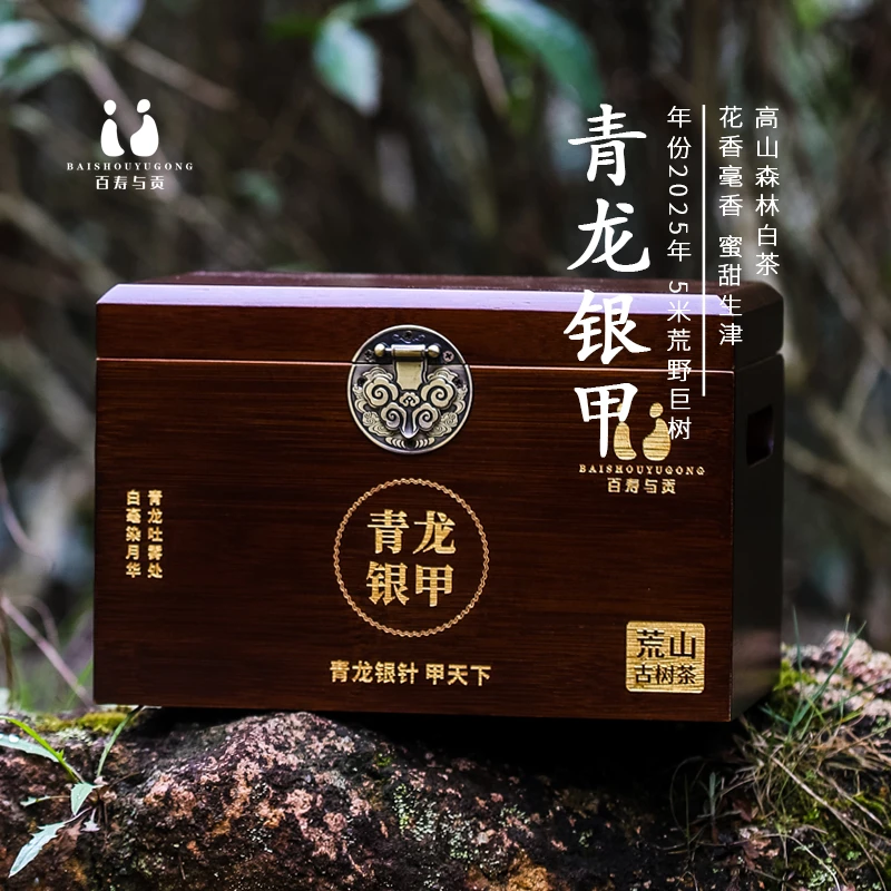 「百寿与贡x春茶预售」2025年青龙银甲荒野大树炭焙白毫银针500g