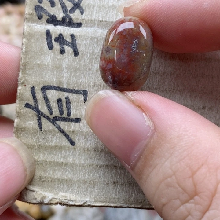 硅化珊瑚（珊瑚玉）未镶嵌颈饰s****a通孔 小
