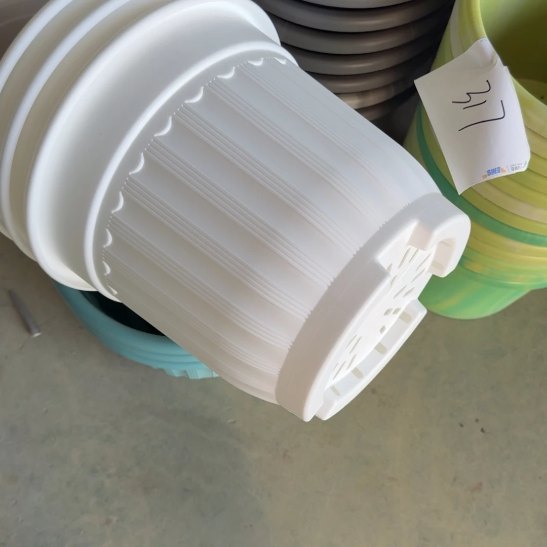 编号是38号的38号的