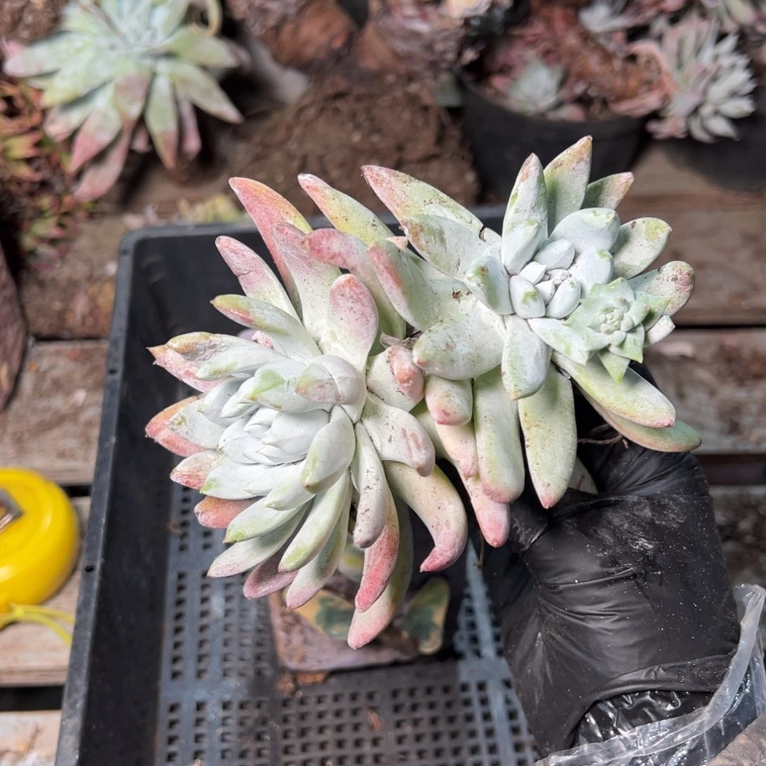 8978哈哈哈哈哈哈哈哈