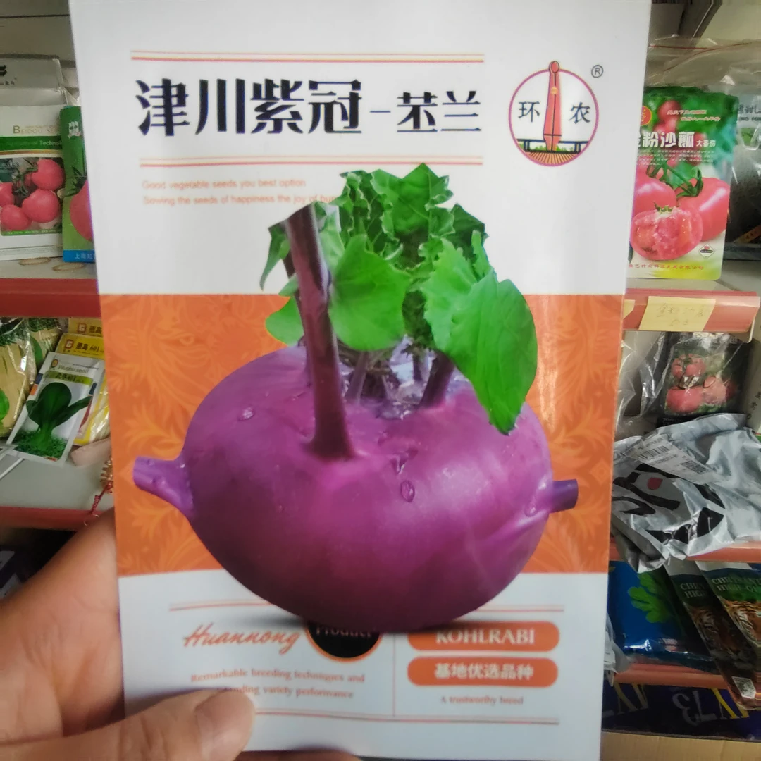 津川紫冠苤兰种籽紫皮苤蓝种籽口感好吃新品种春秋播种蔬菜种籽