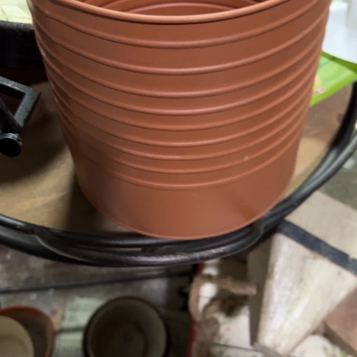 ****月默认瑕疵不退不换