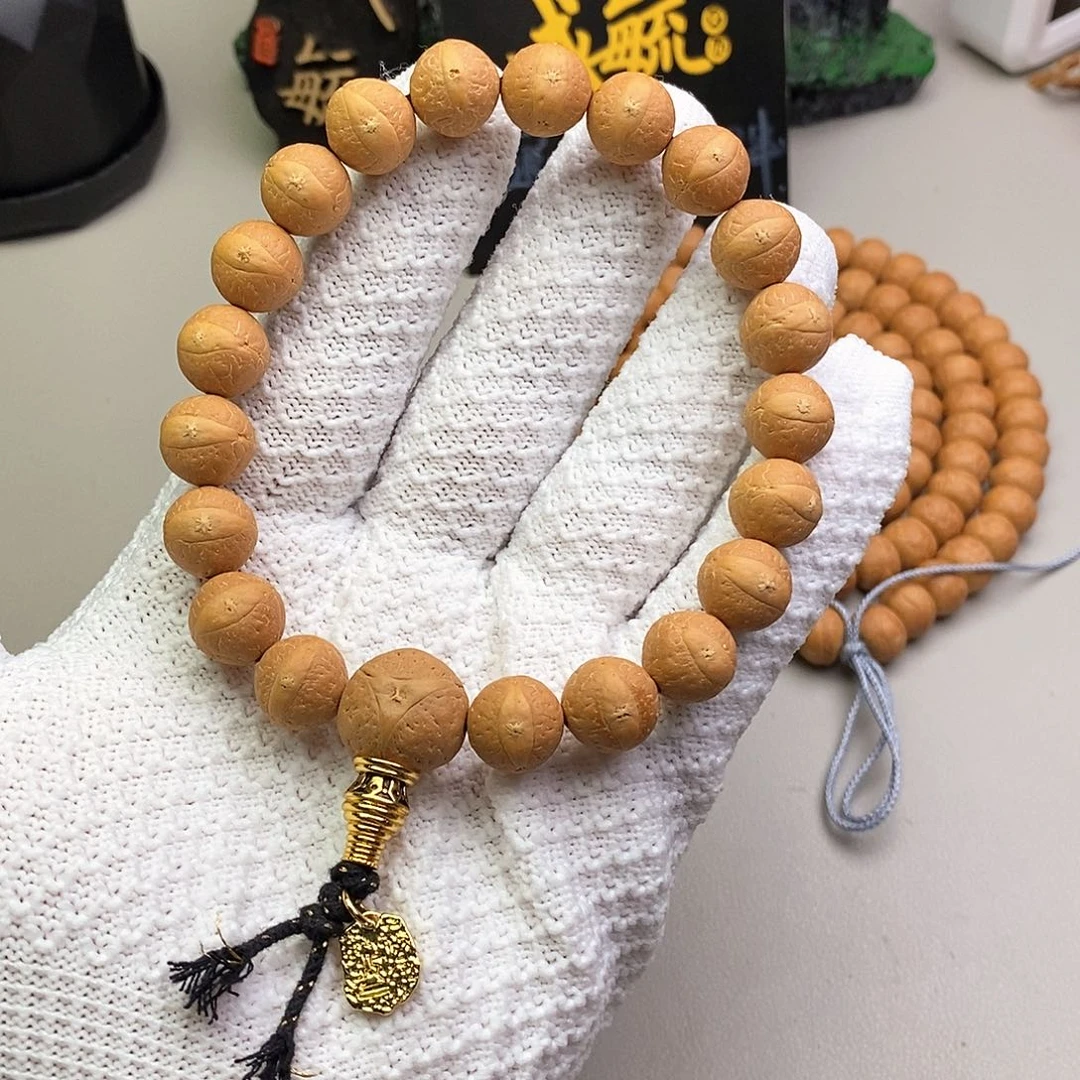 吊坠凤眼菩提12尺寸新籽