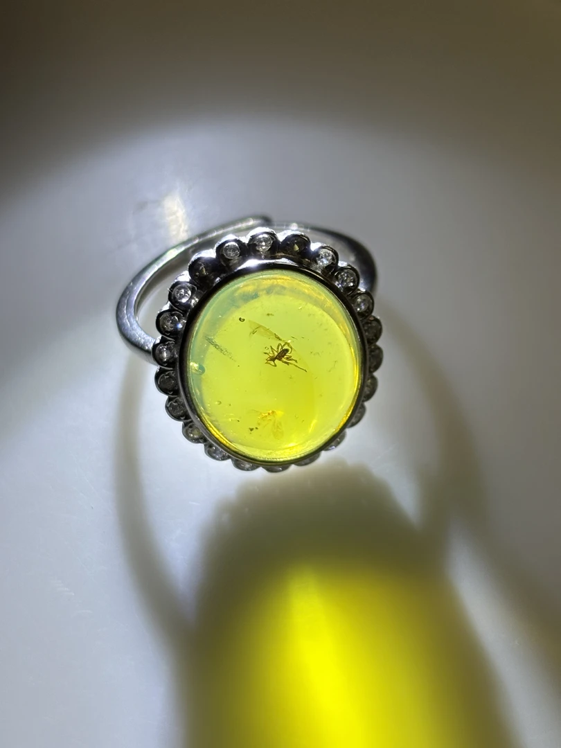 琥珀天然虫珀蜘蛛