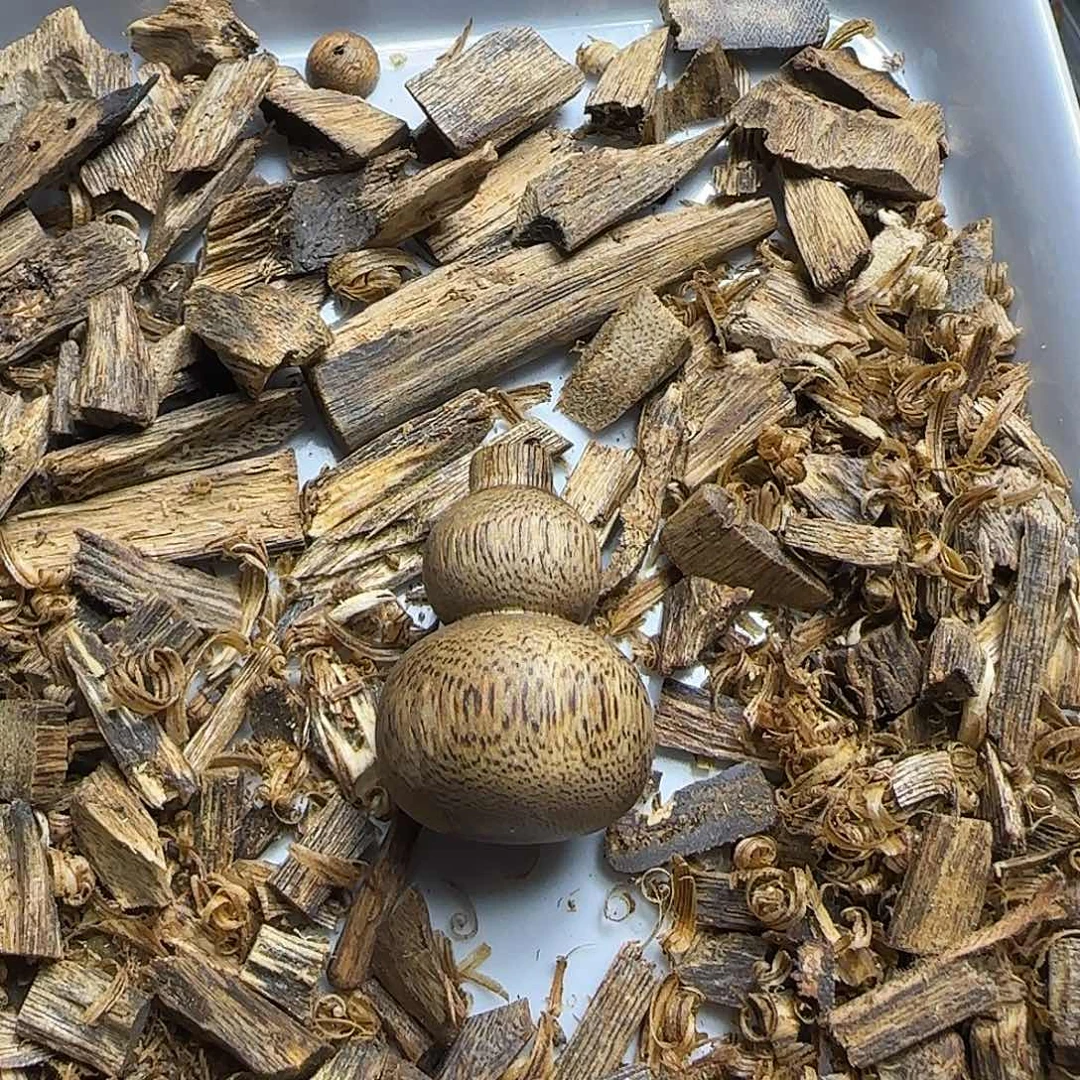 沉香沉香碎屑小葫芦3.9克