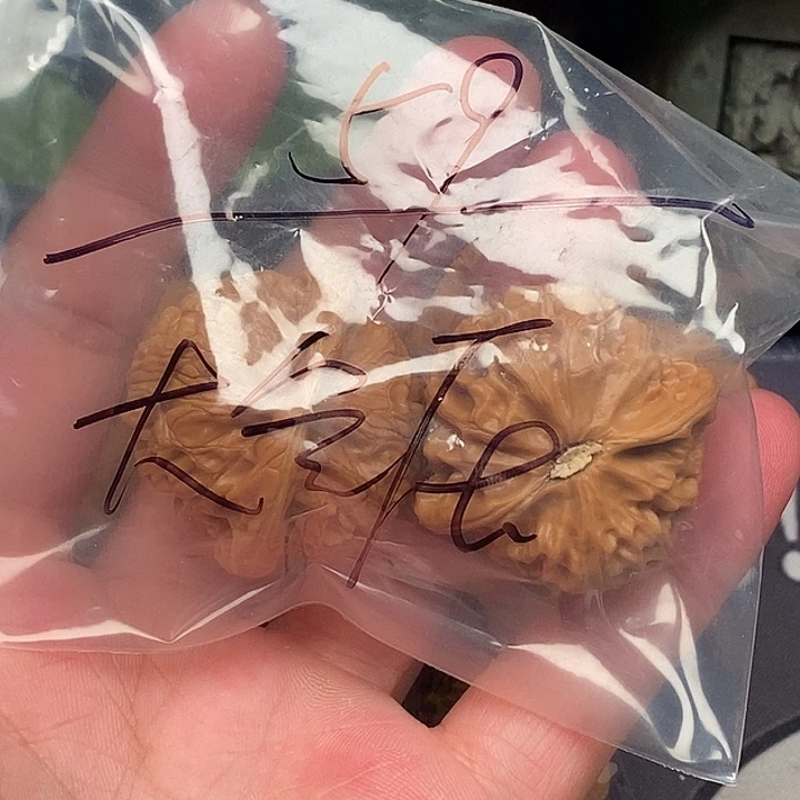 文玩核桃把件大*压1111111111111