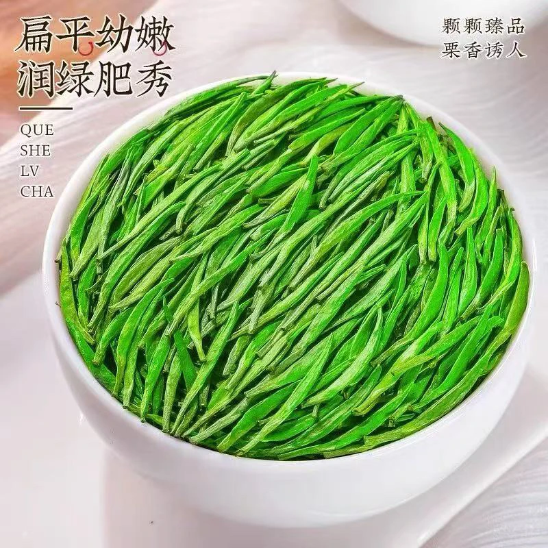 2025新茶雀舌绿茶茶叶500克