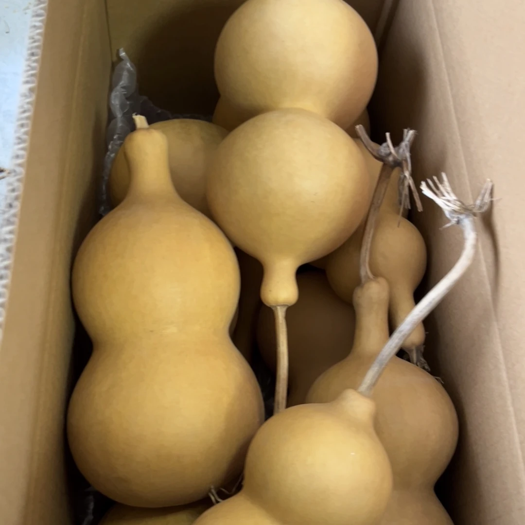 乐****有机玻璃葫芦葫芦