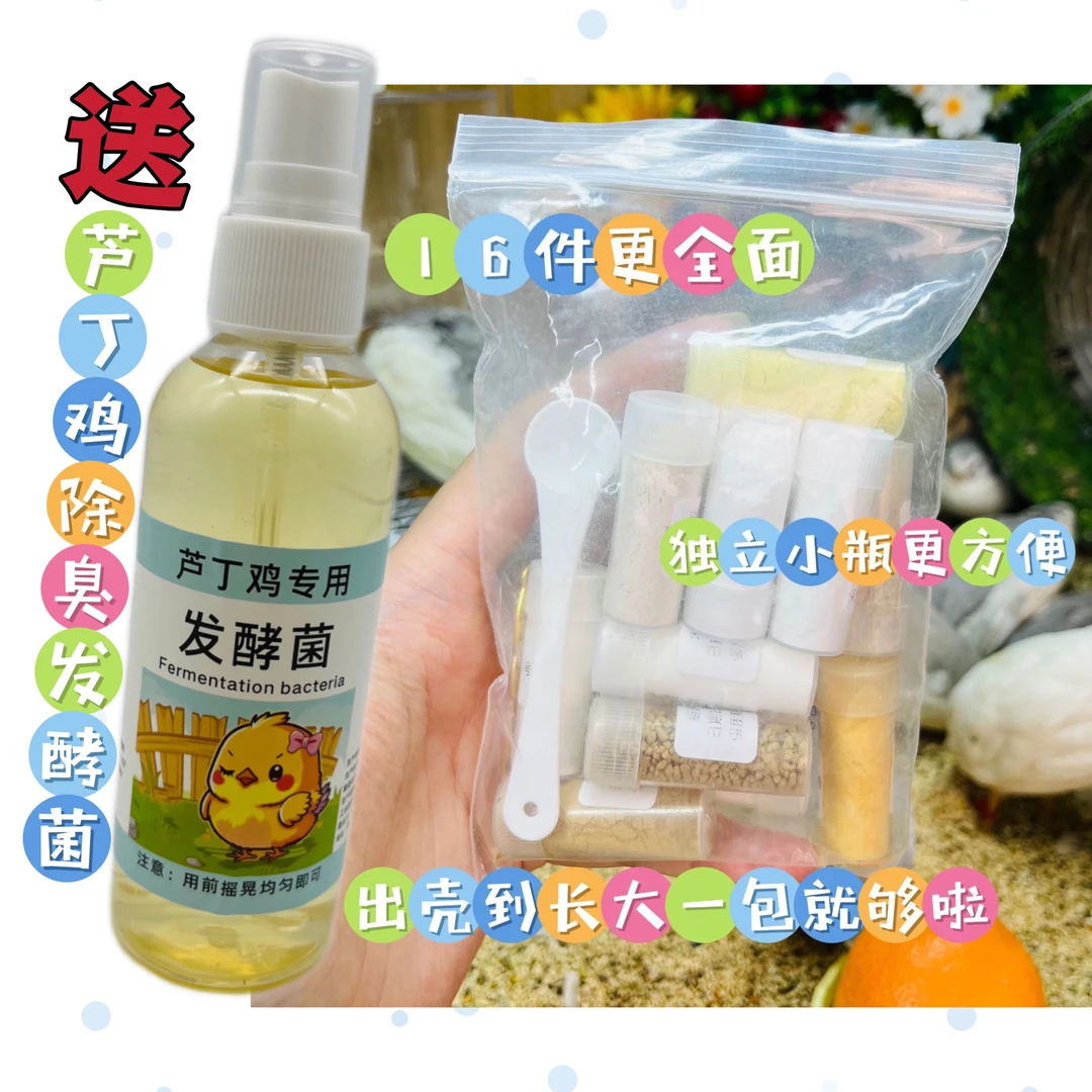 卷卷丫芦丁鸡发酵菌除臭专用育雏开口要套装一套出生能用有备无患