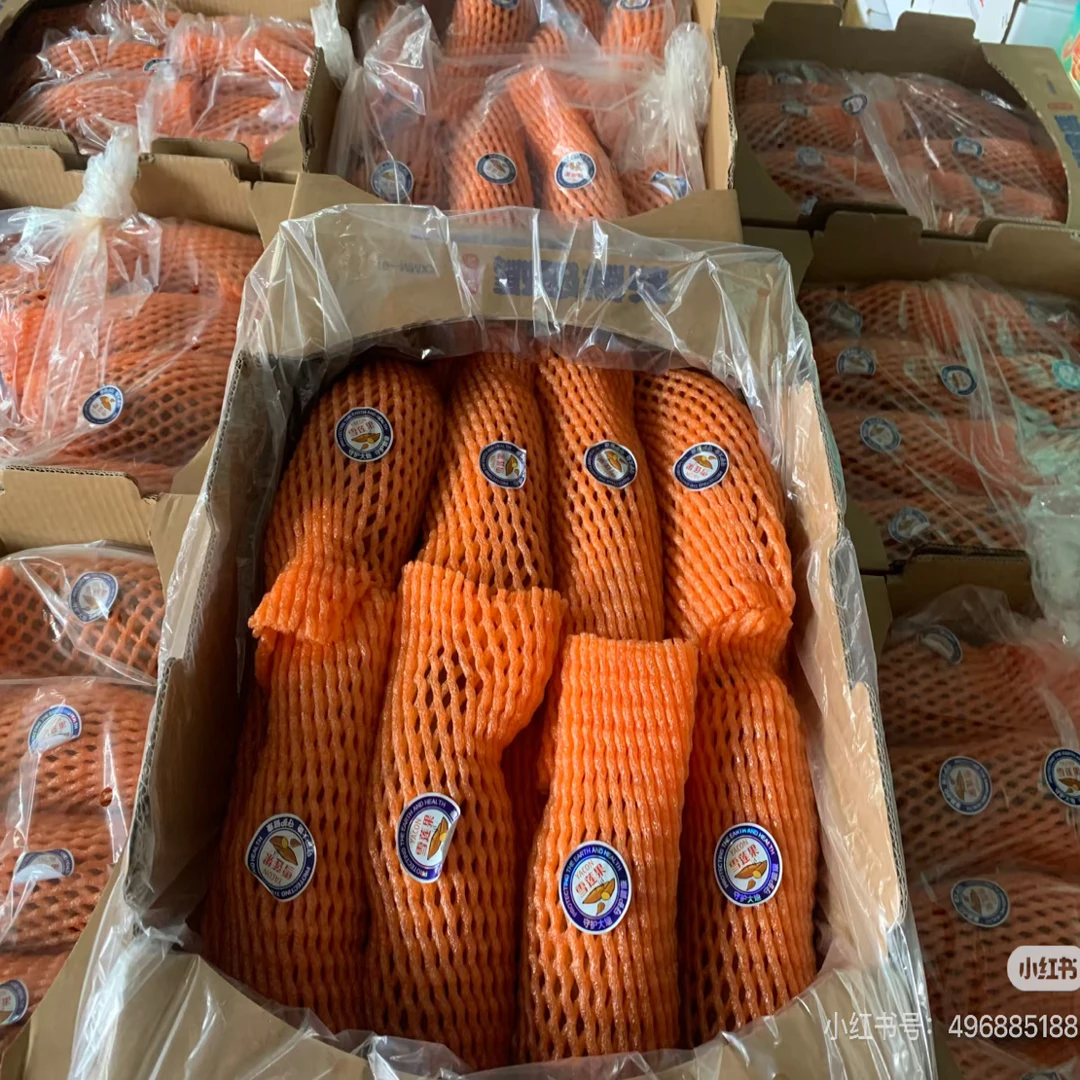 新鲜密码雪莲果一箱约5斤，脆甜多汁