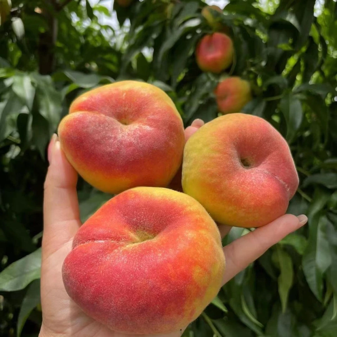 【新疆包邮】正宗毛蟠桃新鲜应季孕妇水果爆甜王母蟠桃扁桃