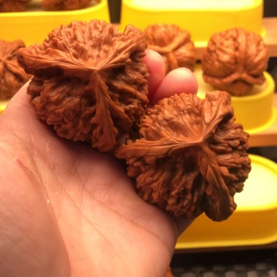 见***风核桃咯核桃核桃核桃