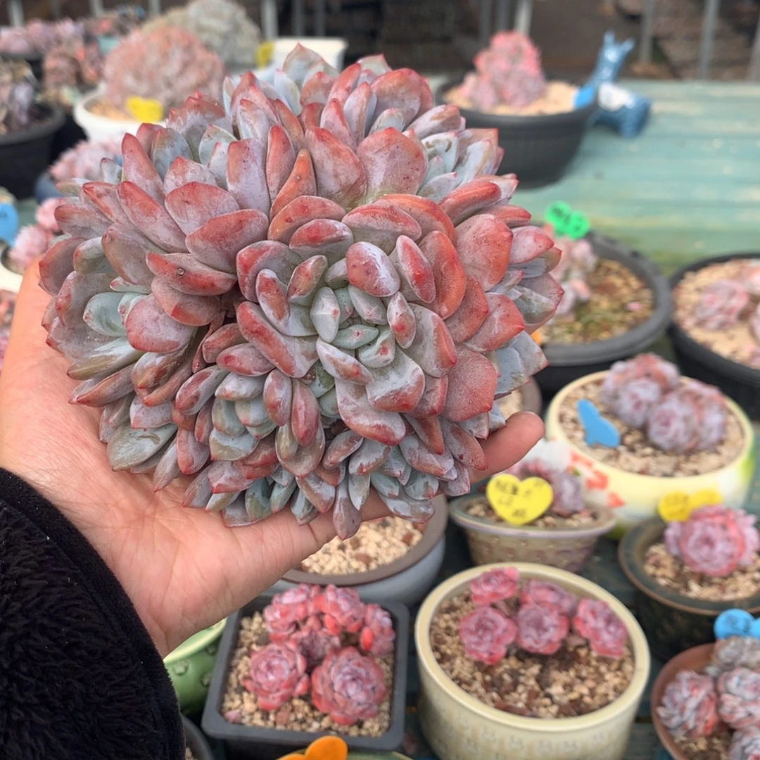 哈哈哈哈哈哈哈哈哈哈