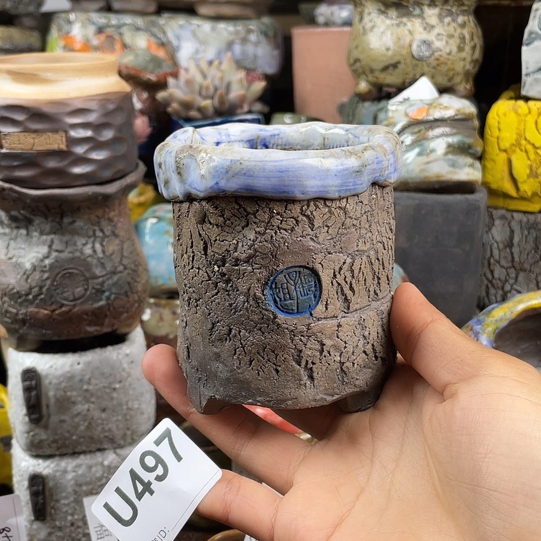 默认微次 元旦福利 坛子姐花盆