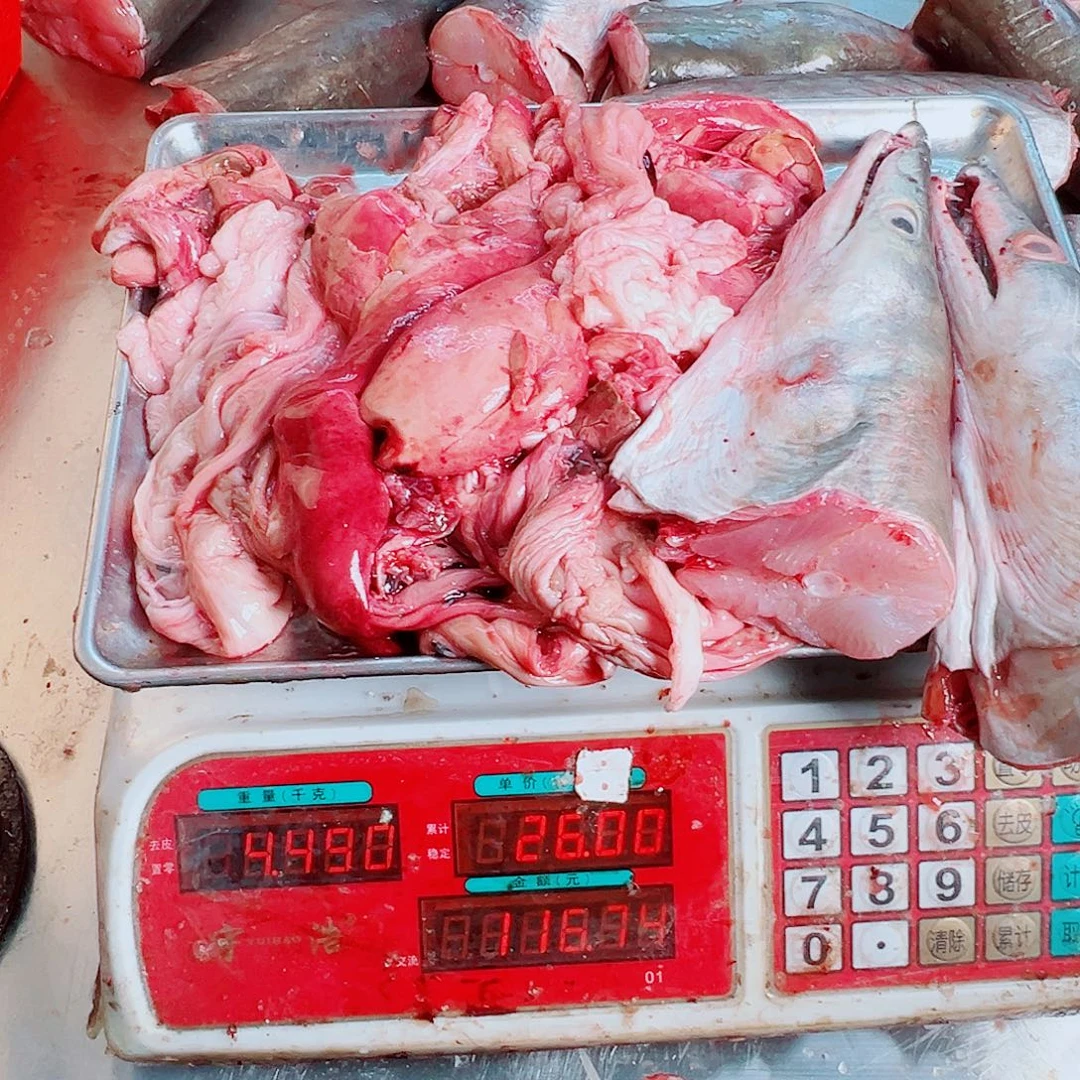 中国大陆两头加鱼杂