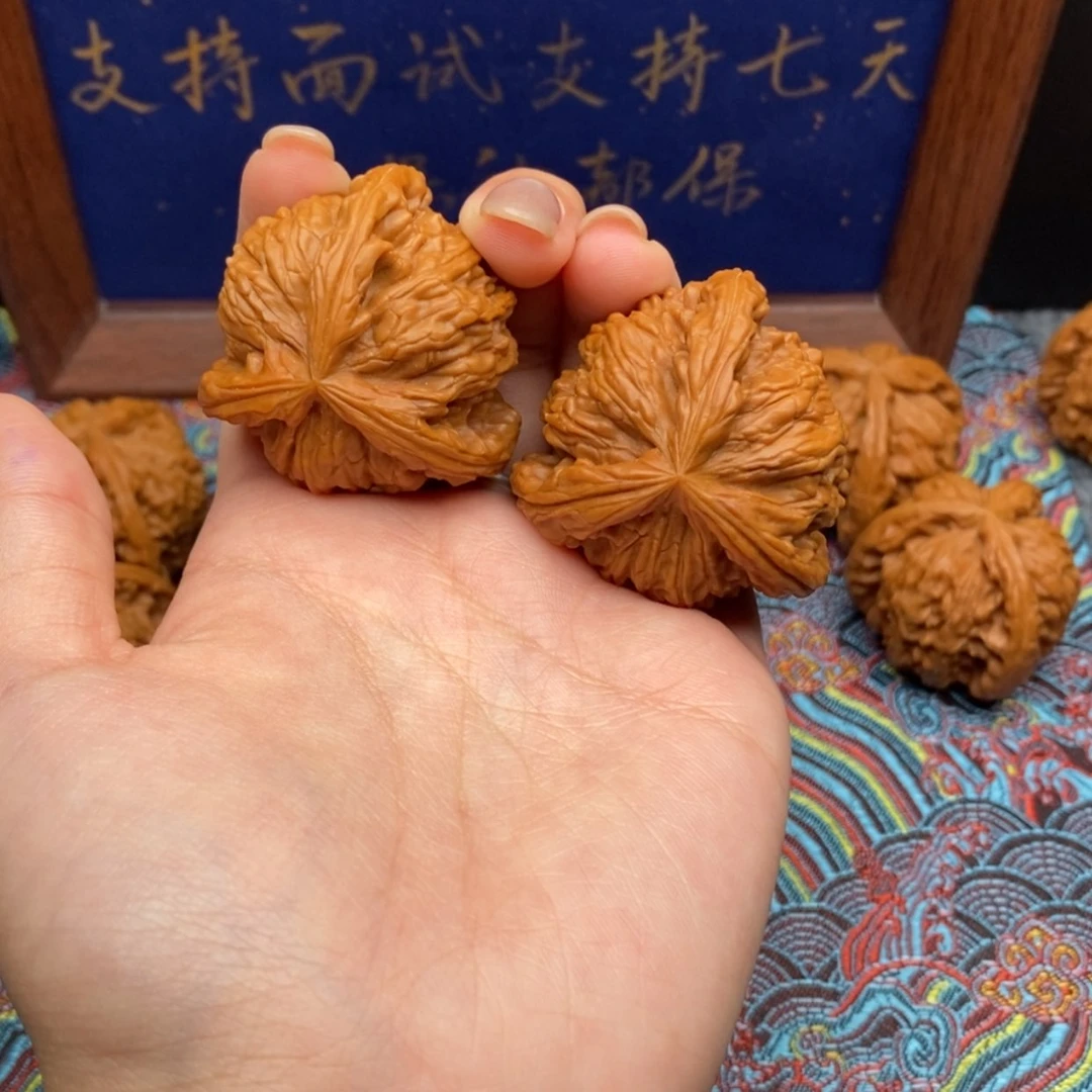 【闪购商品】飞*白狮