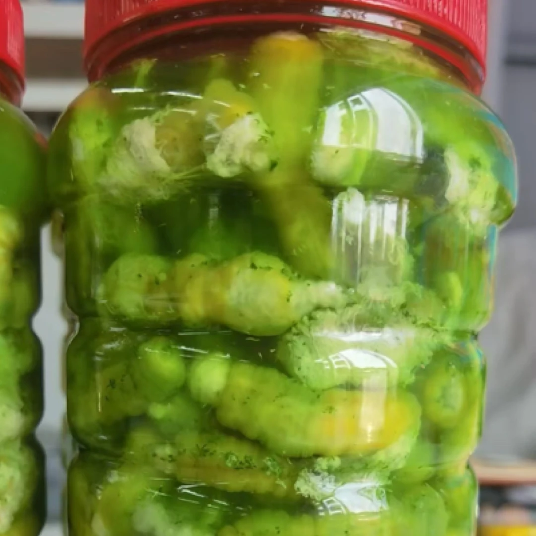 豆丹每瓶400/450克绿色蔬菜