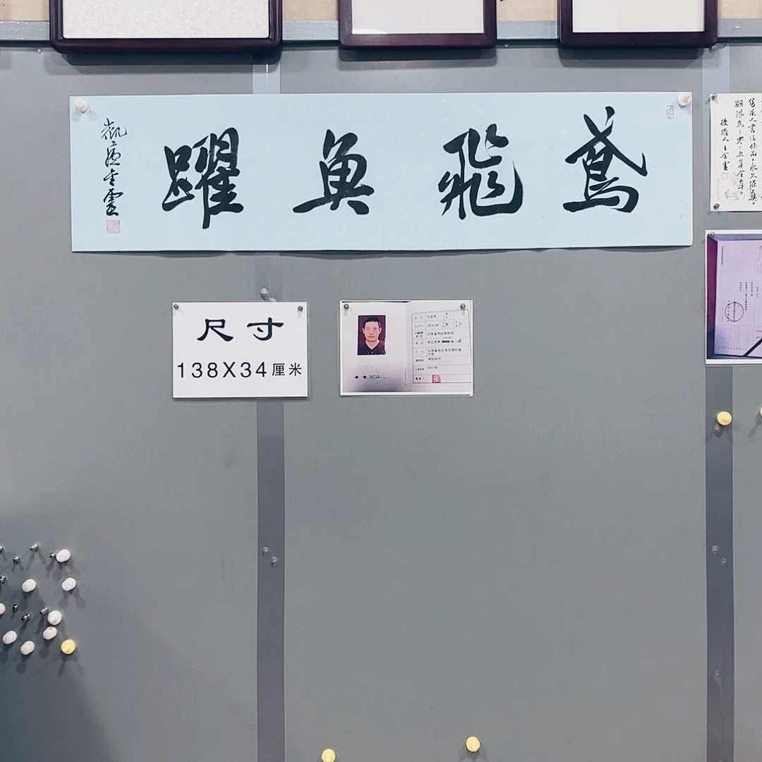 书法王金灵作品四平尺鸢飞鱼跃