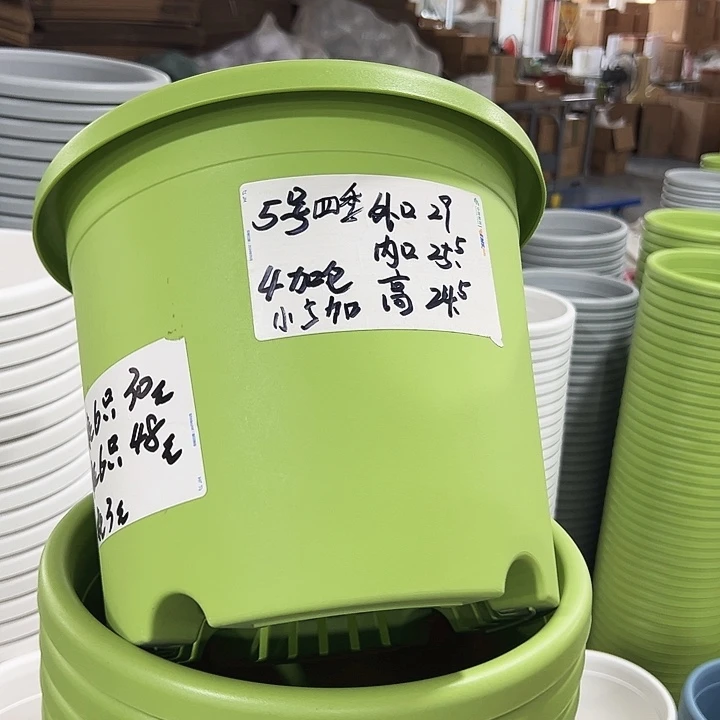 特价5号口29高24.5果绿色6只无托